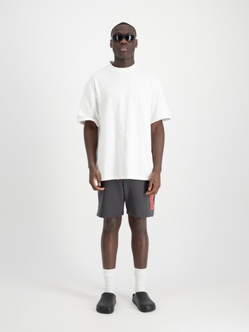 ALPHA INDUSTRIES Обычный Штаны в Серый