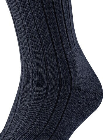 FALKE Kniestrümpfe 'Teppich im Schuh'‌‌‌‌‌‌‌‌ in Blau