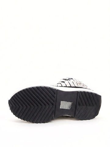 STEVE MADDEN Sneakers hoog 'Shark' in Zwart