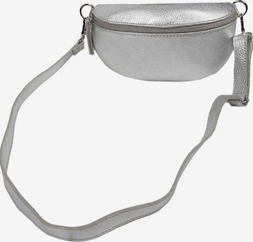 Zwillingsherz Bauchtasche in Silber: predná strana