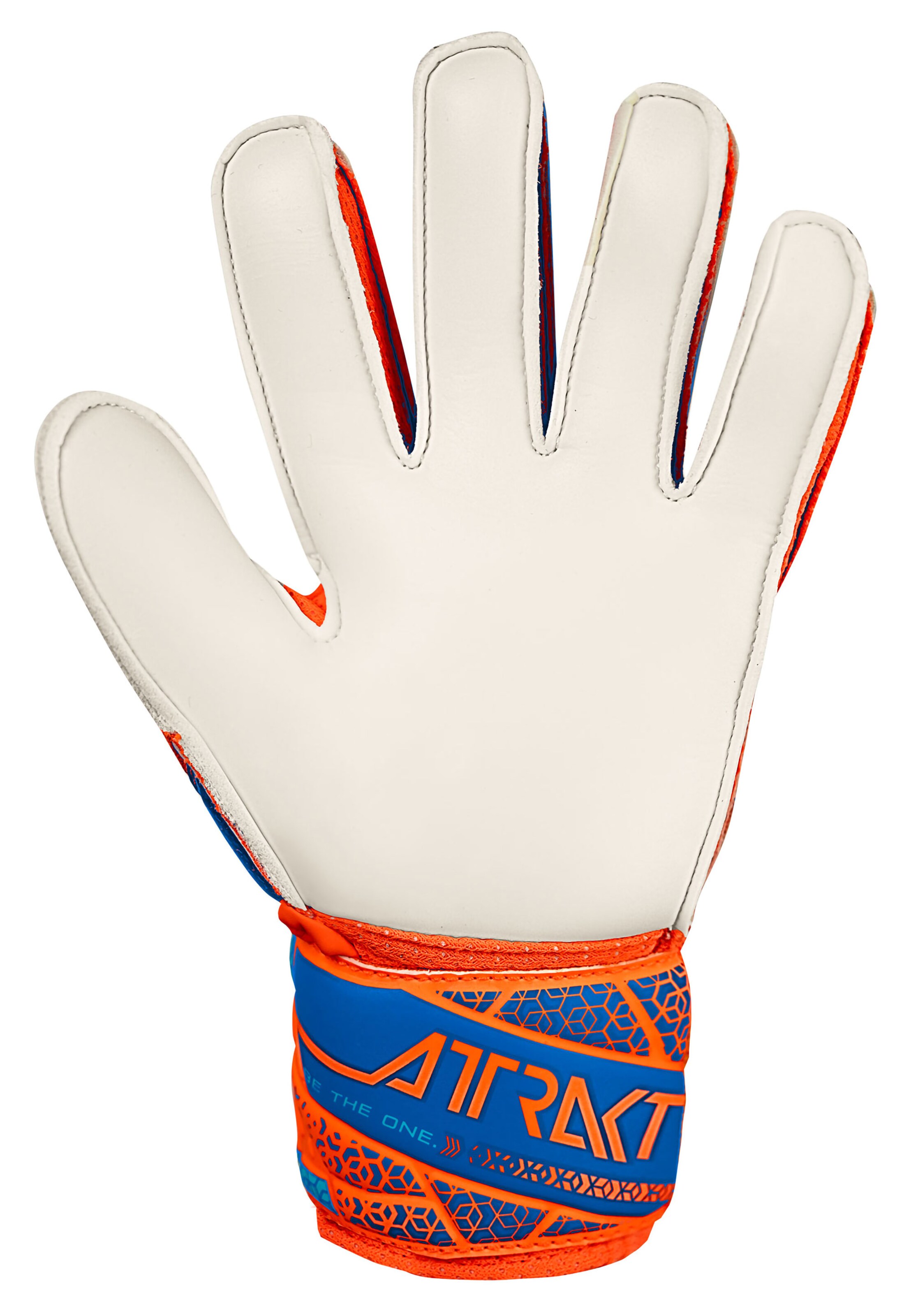 REUSCH Torwarthandschuhe 'Attrakt Solid Junior' in Mischfarben