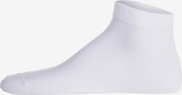 Lacoste Sport Sportsocken in Weiß