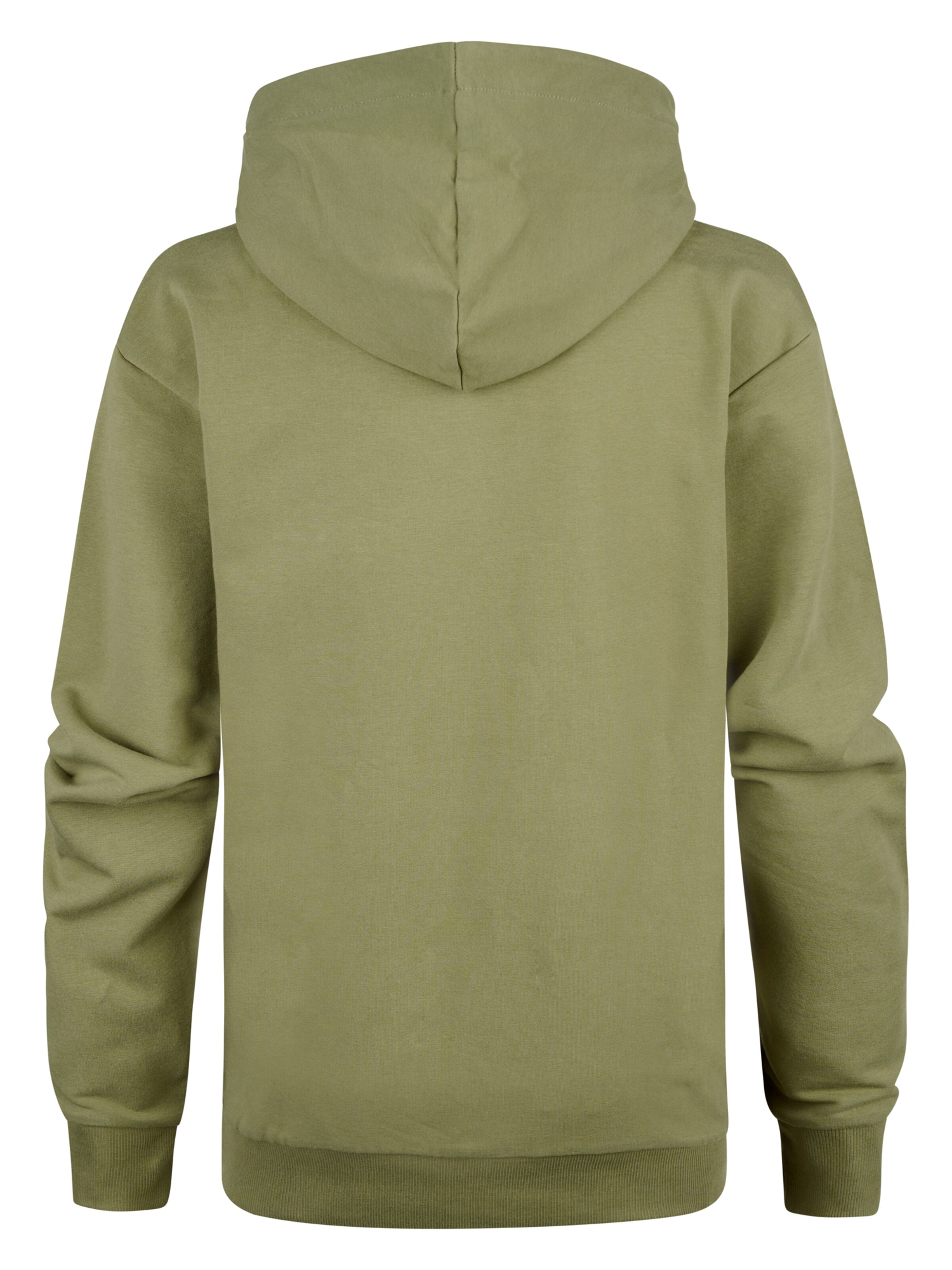Petrol Industries - Sweatshirt 'Tropical' em verde
