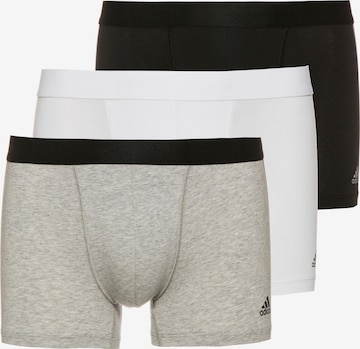 ADIDAS SPORTSWEAR - Calzoncillo deportivo en gris: frente