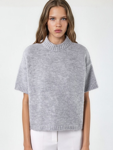 Hiccup Sweater in Grey: front