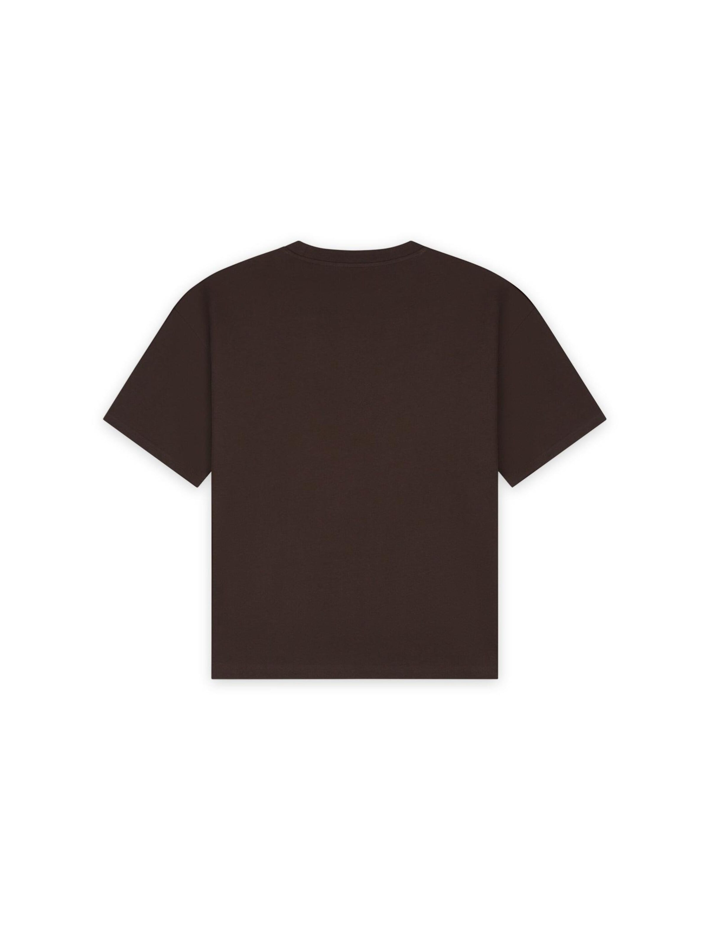 Pure Path Shirt in Brown