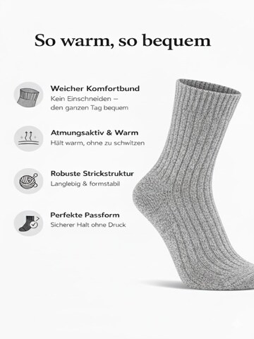 NERS Socks 'Wool Nordic' in Grey
