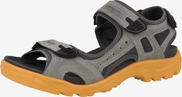 Sandalo da trekking 'Offroad Yucatan' di ECCO in grigio: frontale