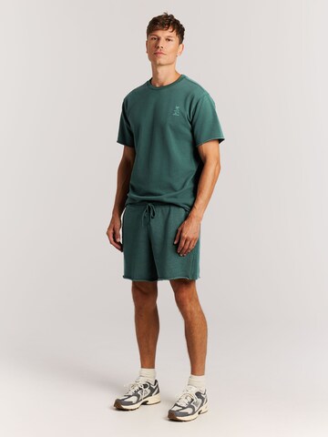 PROTEST Regular Pants 'PRTGalvan' in Green