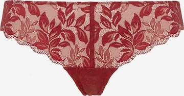 Hanro String 'Lille' in Rot: front