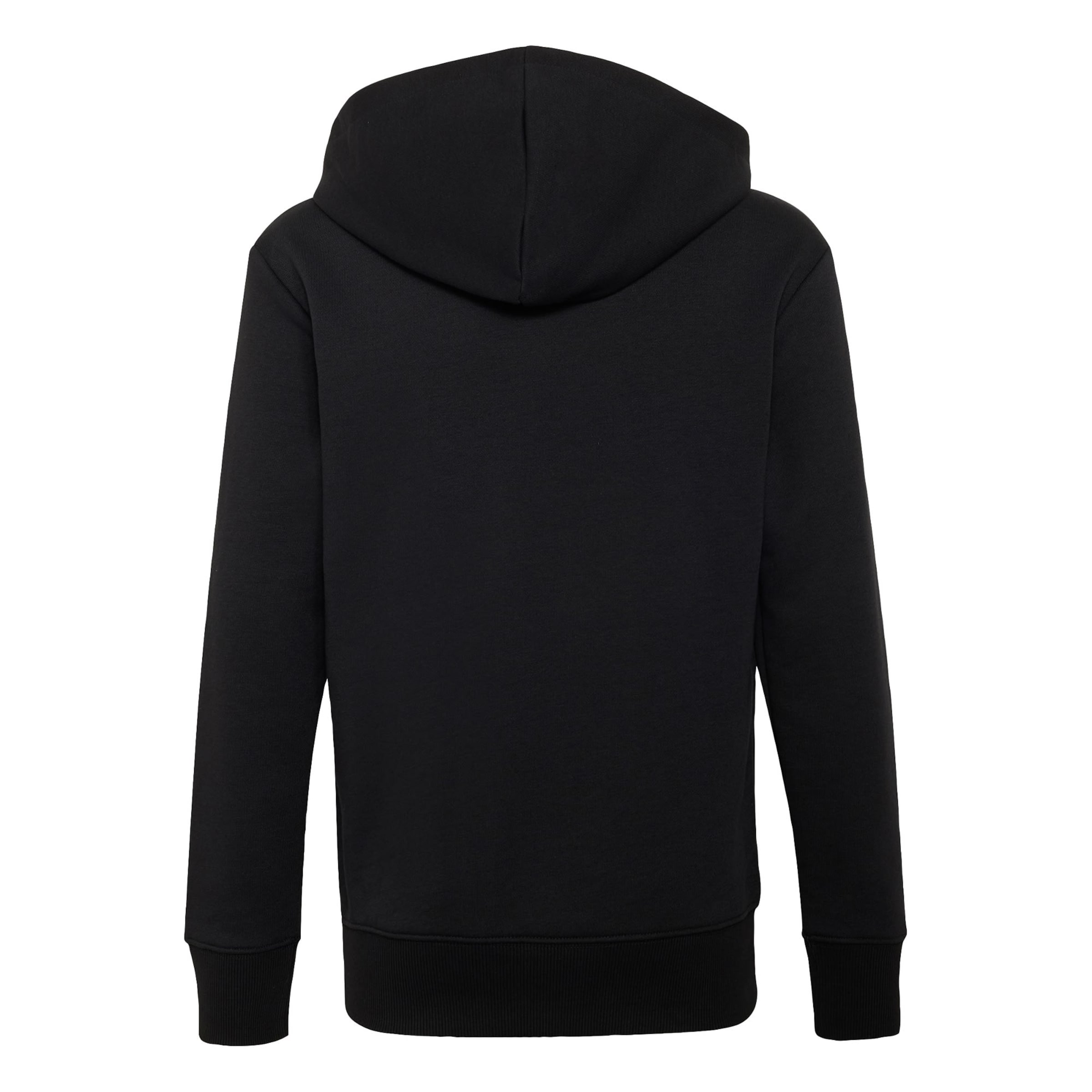 ADIDAS PERFORMANCE Sportief sweatshirt 'Audi Revolut F1 Team Gabriel Bortoleto III' in Zwart