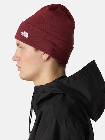 raudona THE NORTH FACE Megzta kepurė 'Norm'