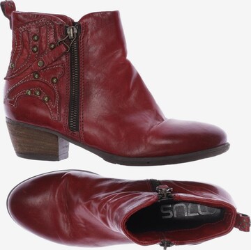 MJUS Dress Boots in 37 in Red: front