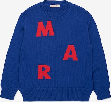 mėlyna Marni Megztinis: priekis