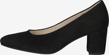 GABOR Pumps in Schwarz