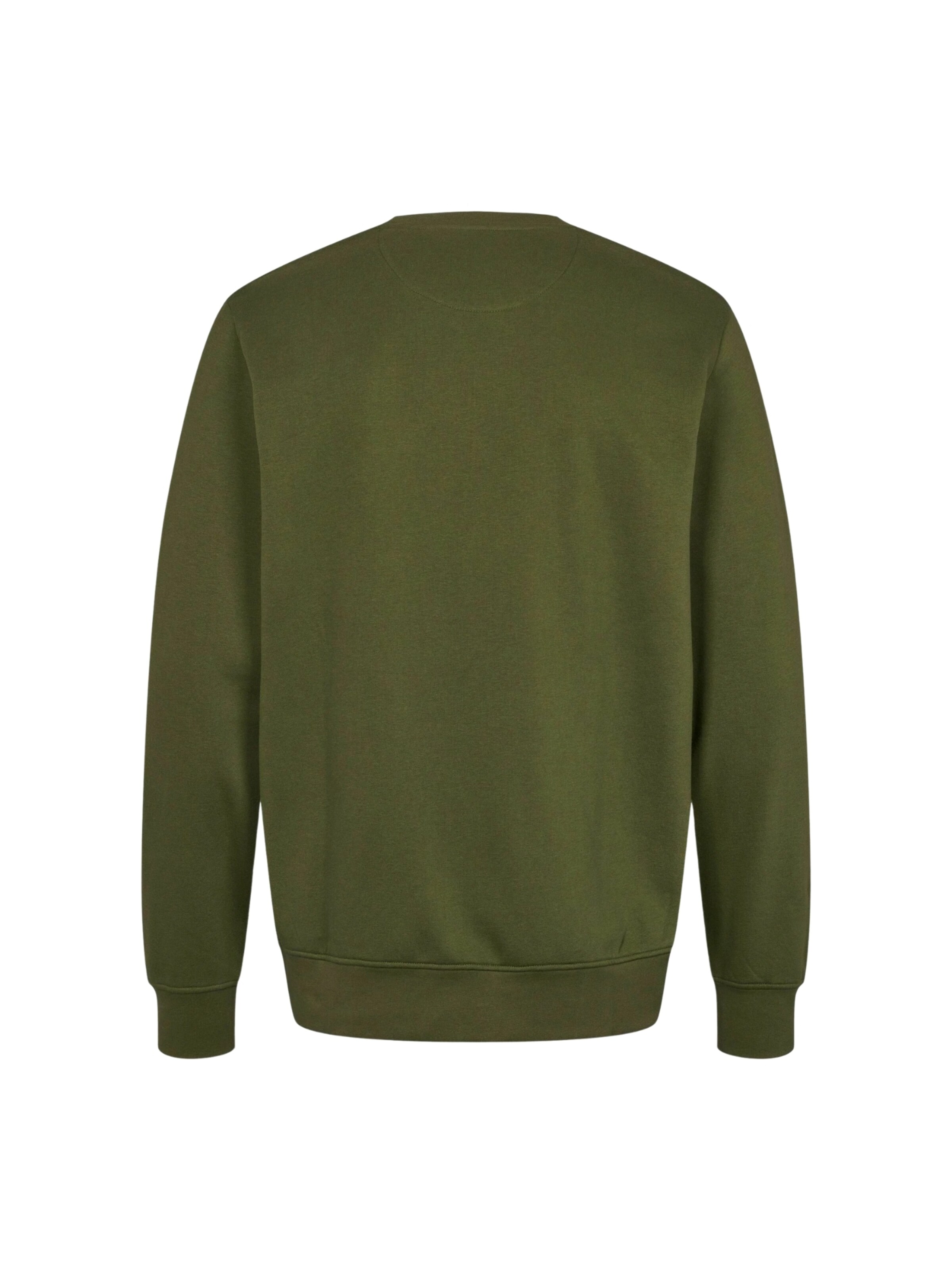 Pull-over ' Tais ' U.S. POLO ASSN. en vert
