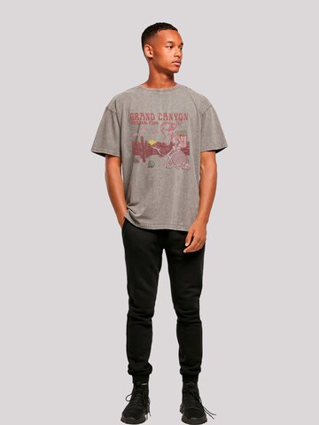 F4NT4STIC Shirt in Grey