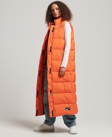 Gilet Superdry en orange : devant