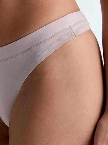 Albero Natur Thong in Purple