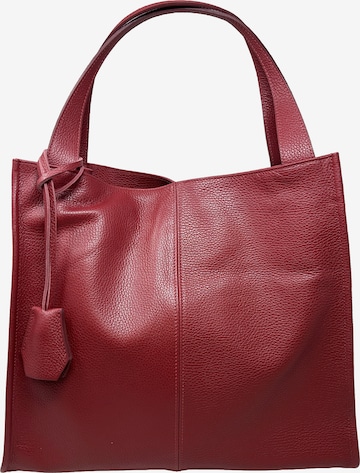 CHICCA BORSE Handtas in Rood: voorkant