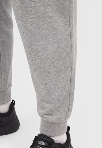 THE NORTH FACE Tapered Byxa 'EVO BOX HALF DOME' i grå