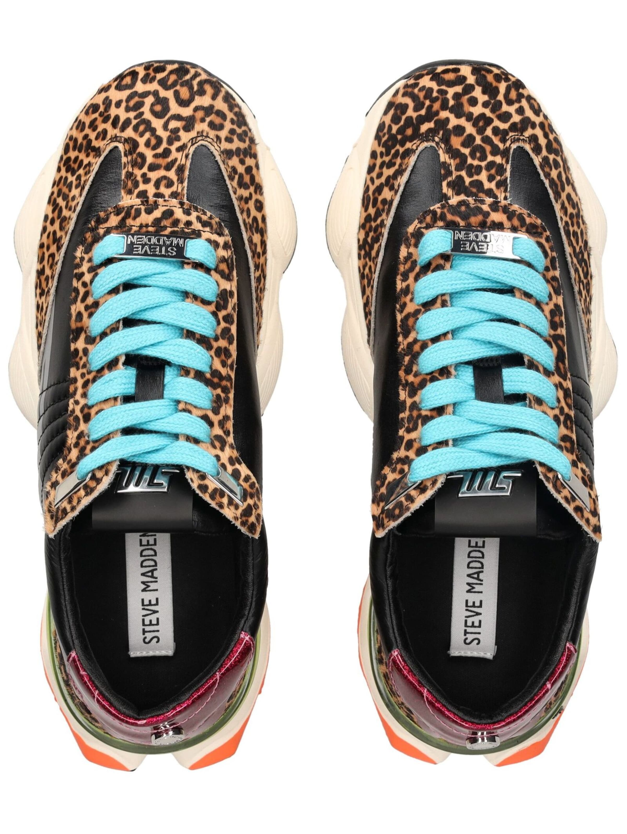 Baskets basses STEVE MADDEN en mélange de couleurs