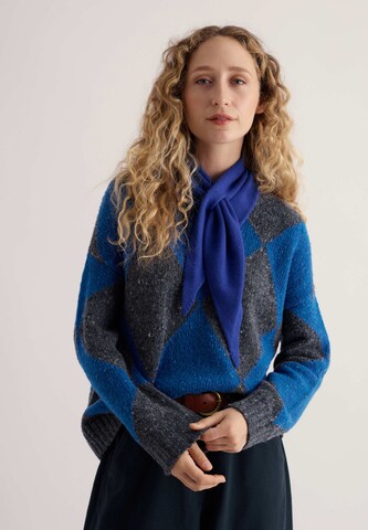 Seasalt Cornwall Trui in Blauw: voorkant