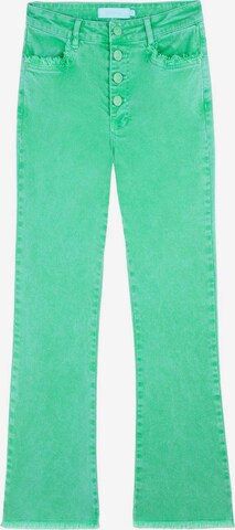 Scalpers Flared Jeans in Groen: voorkant