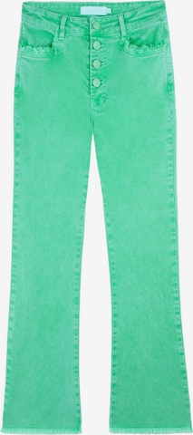 Scalpers Flared Jeans in Green: front