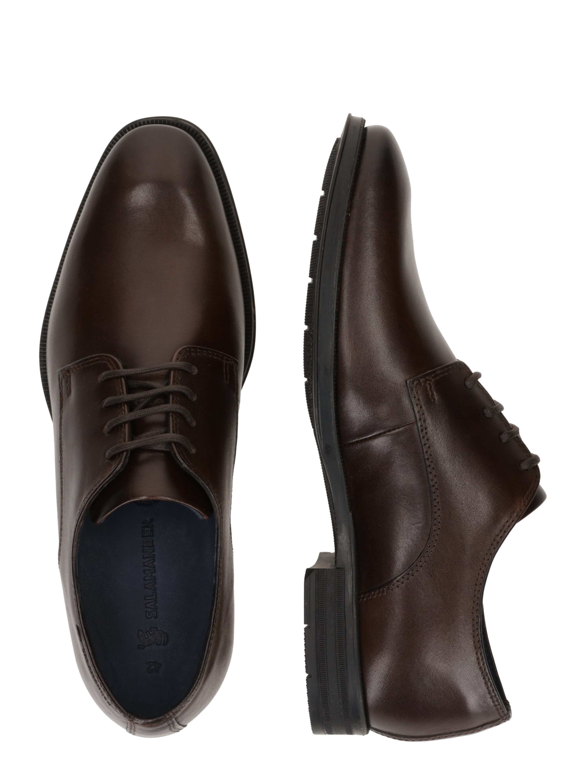 SALAMANDER Lace-up shoe 'Auu' in Brown