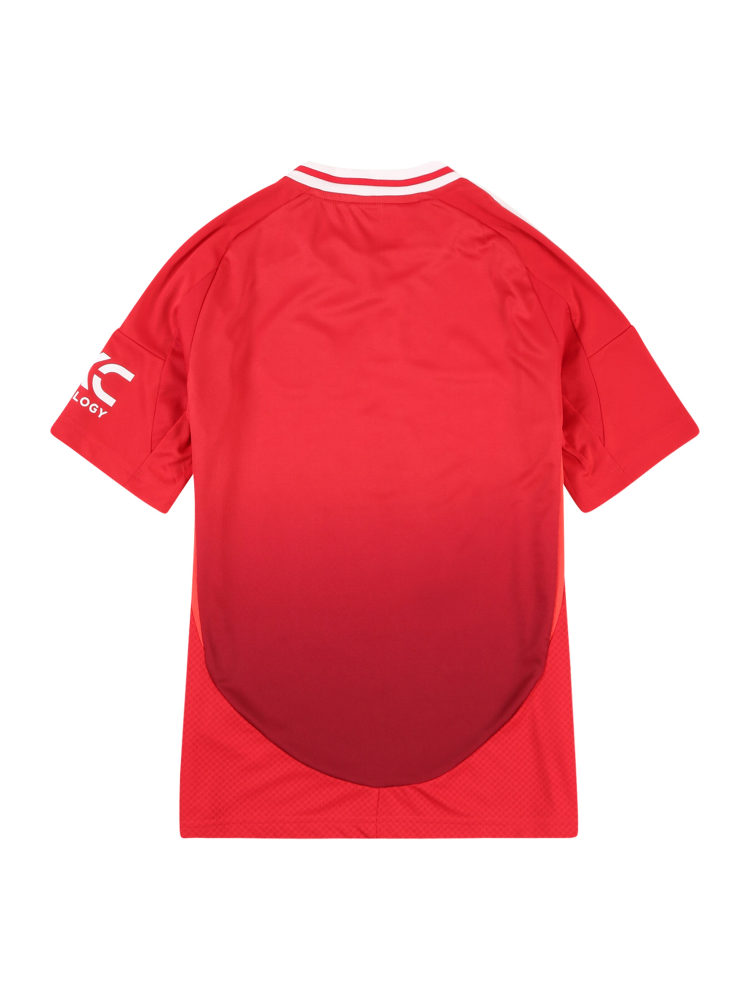 ADIDAS PERFORMANCE - Camiseta funcional 'Manchester United 24/25' en rojo