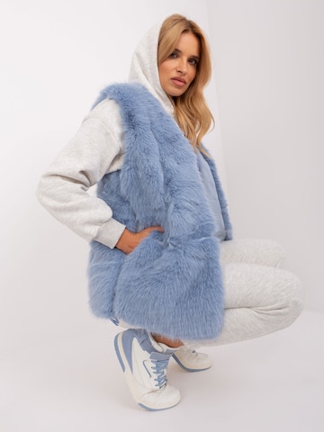 Madnezz House Weste '2368.00P' in Blau