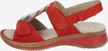 ARA Sandals in Red