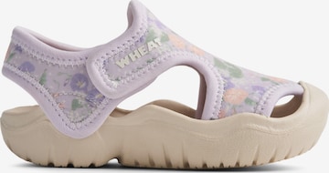 WHEAT Sandal 'Bani' in Purple: front