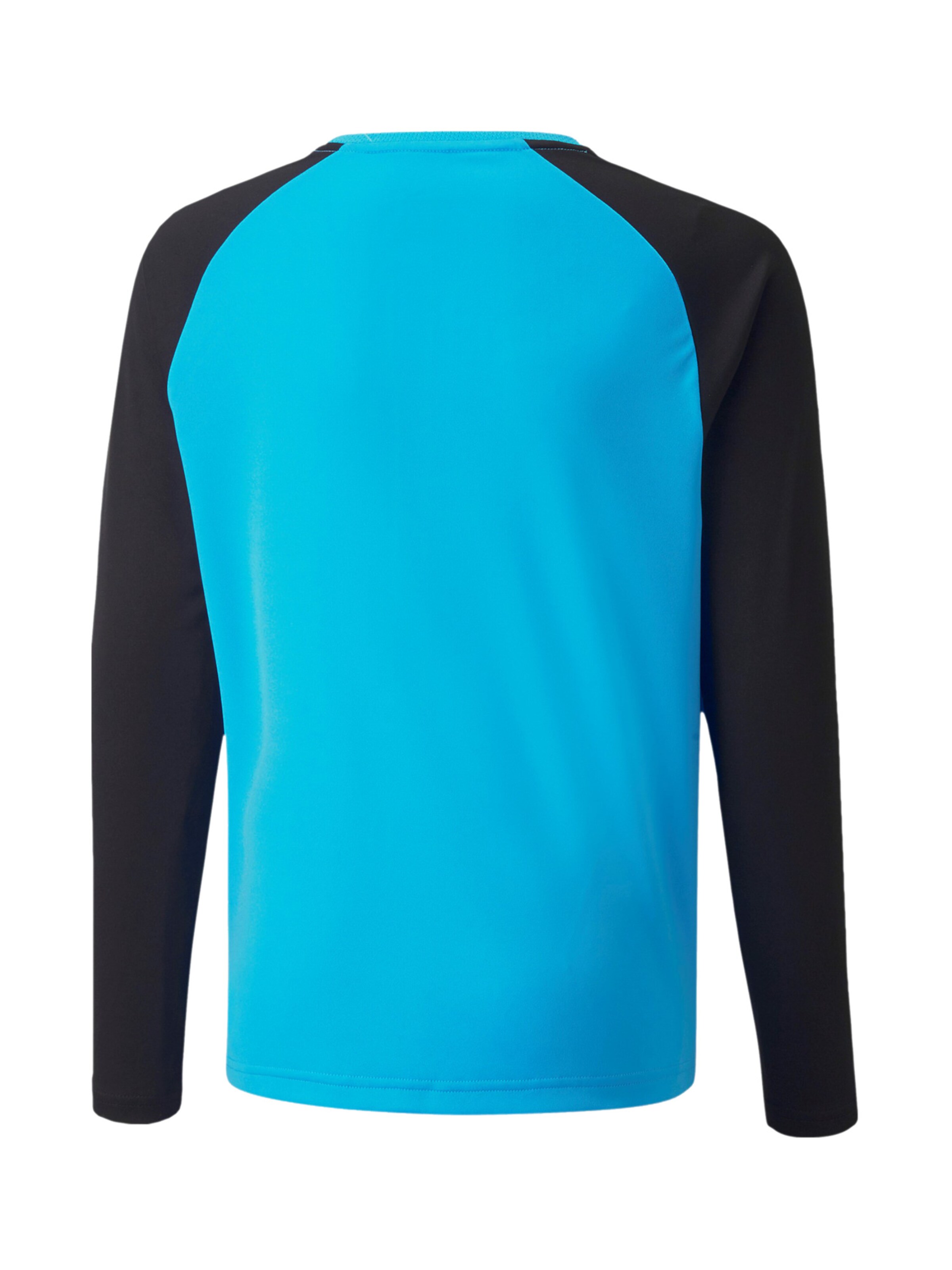 PUMA Performance Shirt 'Teampacer' in Blue