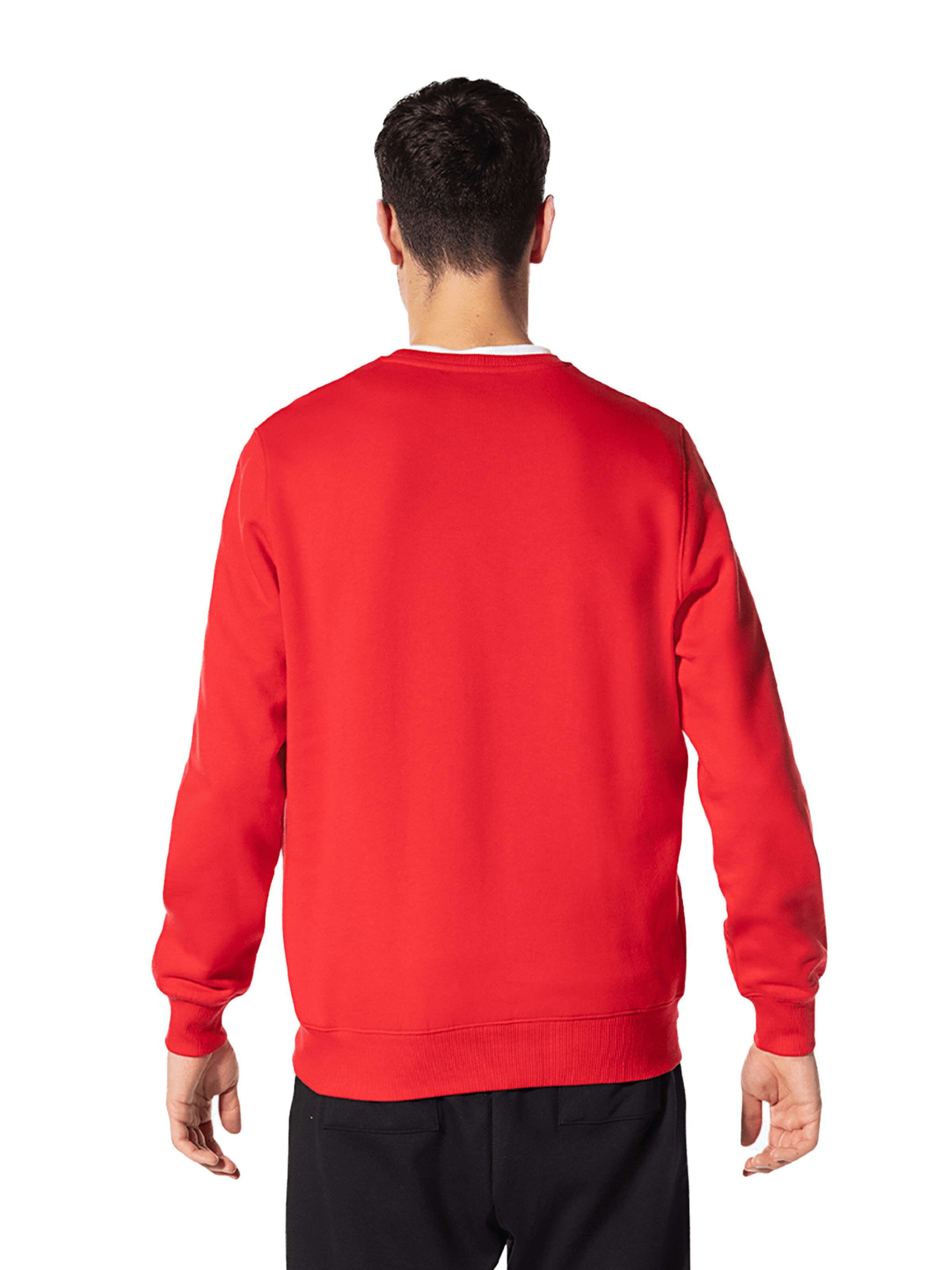 FC BAYERN MÜNCHEN Sweatshirt 'Essentials' in Rot