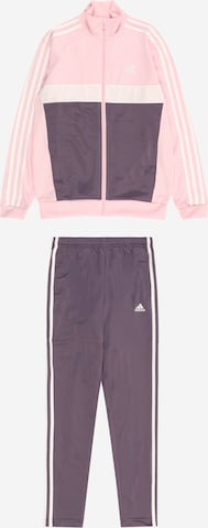 ADIDAS PERFORMANCE Trainingspak 'Essentials Tiberio' in Roze: voorkant