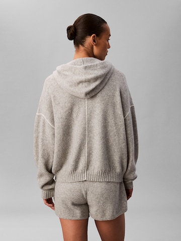 Calvin Klein Sweatshirt 'Terry' in Grau