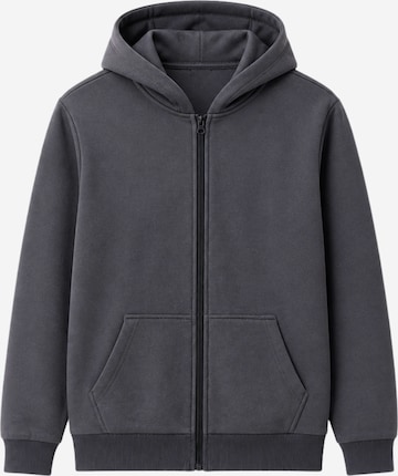 LOUIS LECLER Sweat jacket 'Selara' in Grey: front