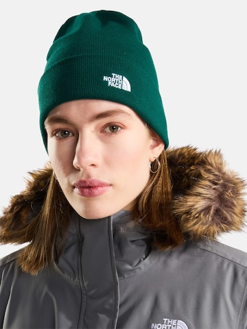 THE NORTH FACE Muts 'Norm' in Groen