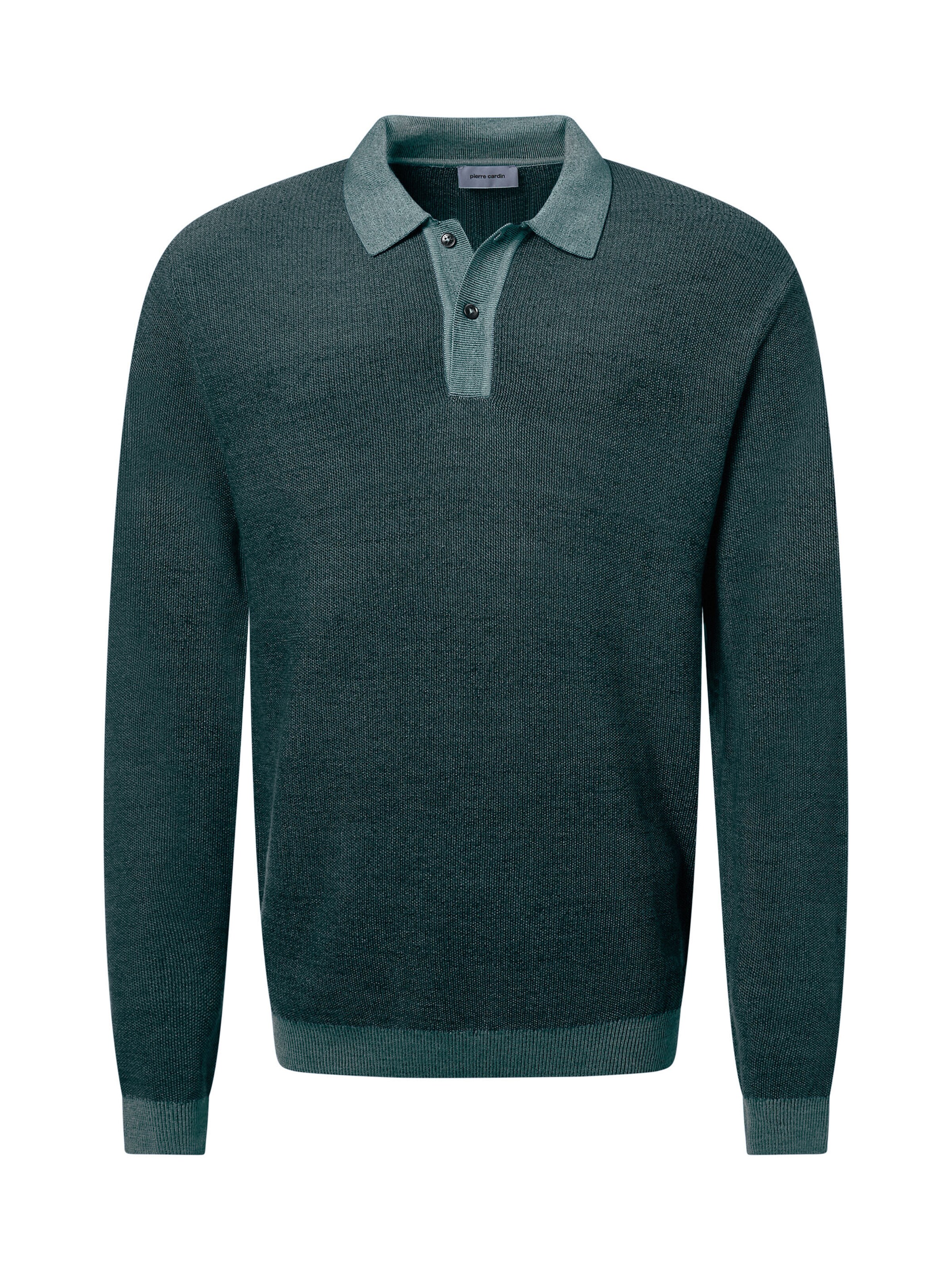 PIERRE CARDIN Sweater in Green: front