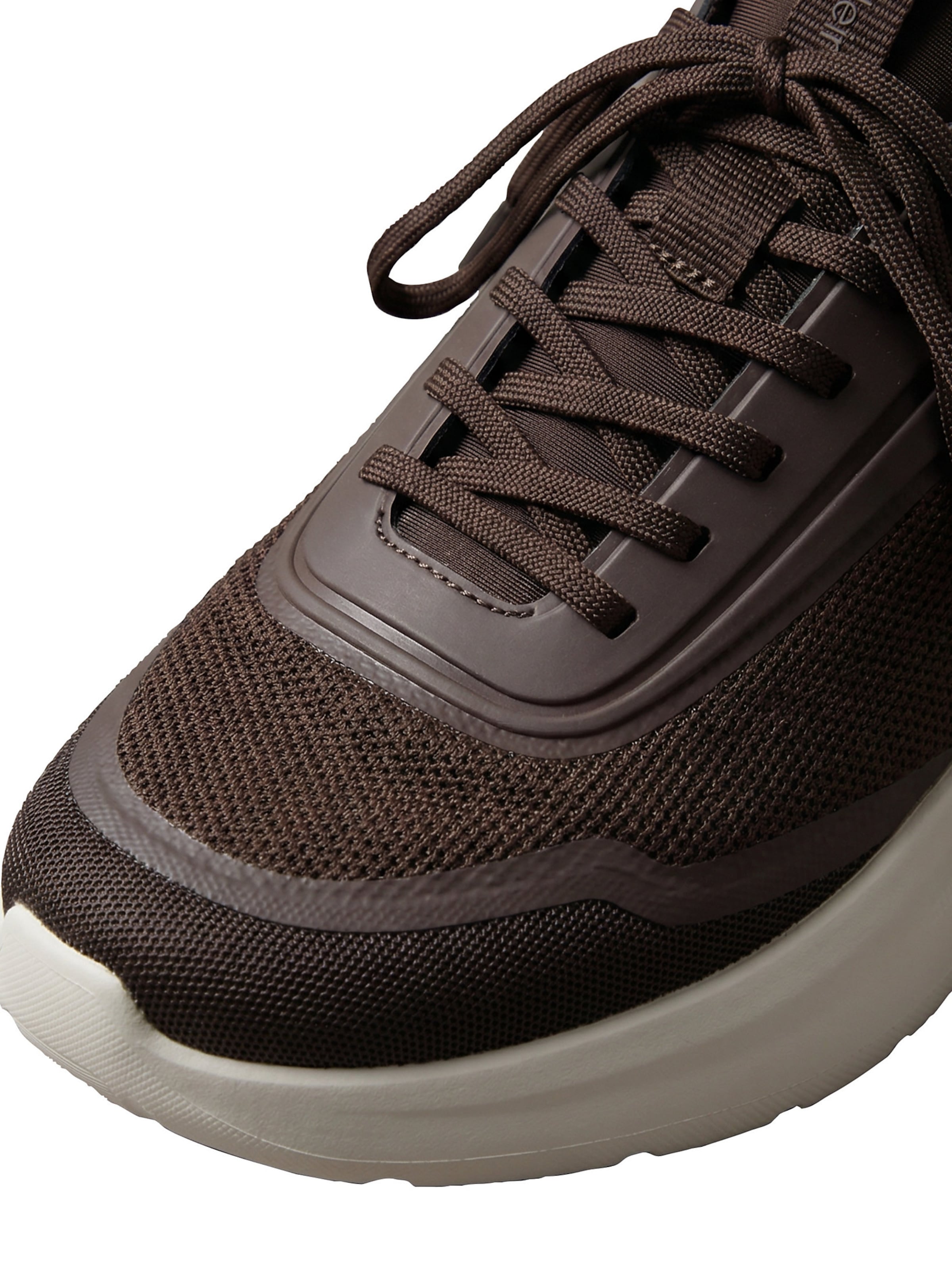 Baskets basses Calvin Klein en marron