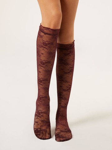 CALZEDONIA Fine Stockings in Purple: front