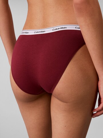 Calvin Klein Underwear Slip in Grau
