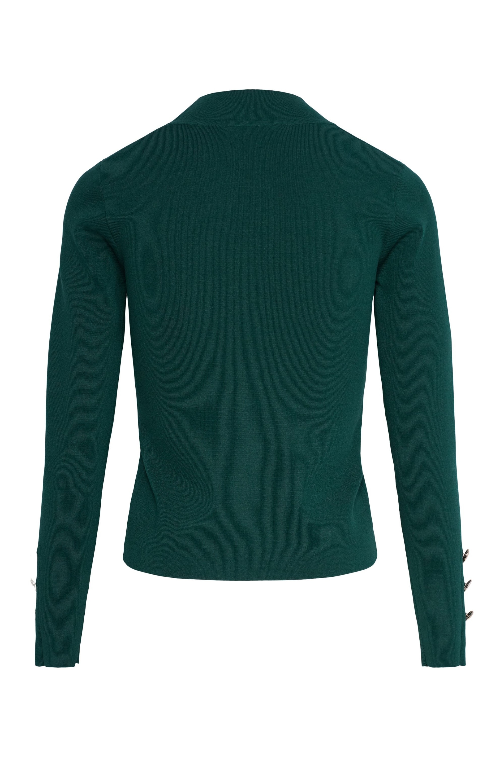 Salsa Jeans Pullover in Grün