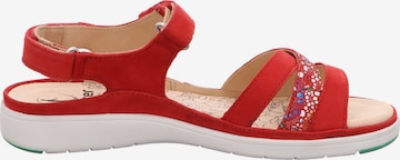 Ganter Sandals in Red