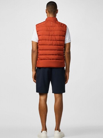 Hackett London Bodywarmer 'Sonic' in Bruin
