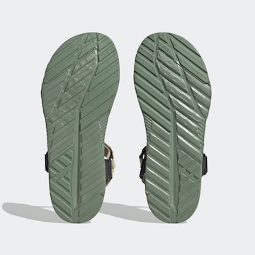 Sandales ADIDAS TERREX en vert