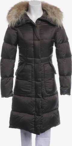 Parajumpers Jacket & Coat in XS in Brown: front