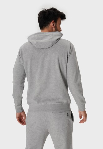 Oldskull Zip-Up Hoodie 'Basic Osk Logo' in Grey